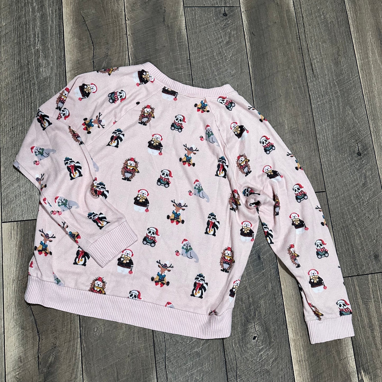 American Eagle Christmas Animal Pajamas