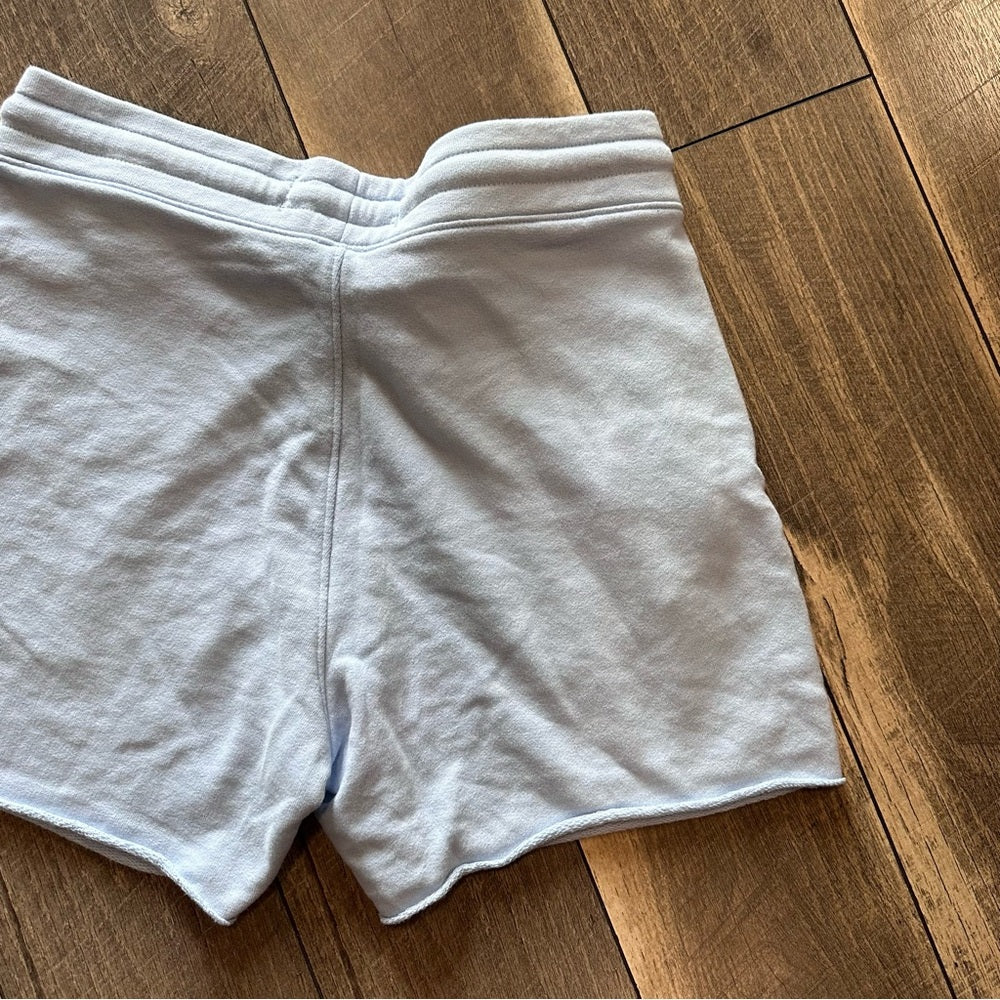 Hollister Baby Blue Shorts