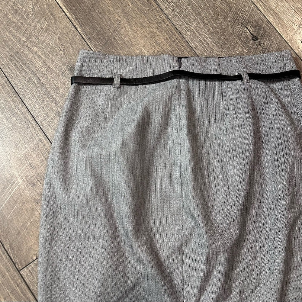 Express Pencil Skirt