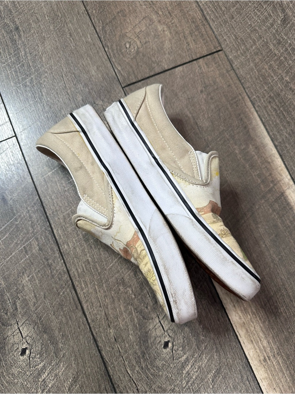 Vans Classic Slip-On Desert Vibes
