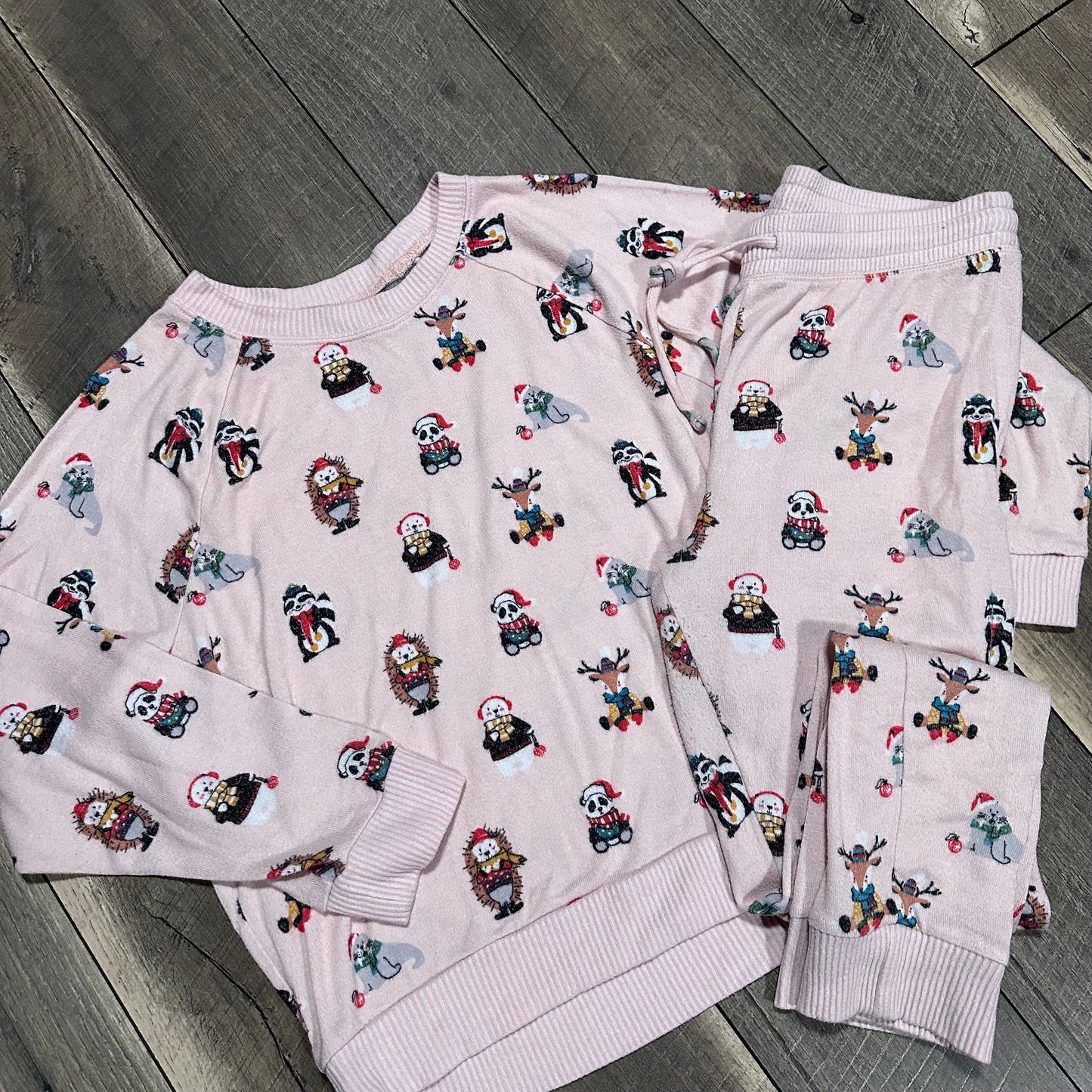 American Eagle Christmas Animal Pajamas