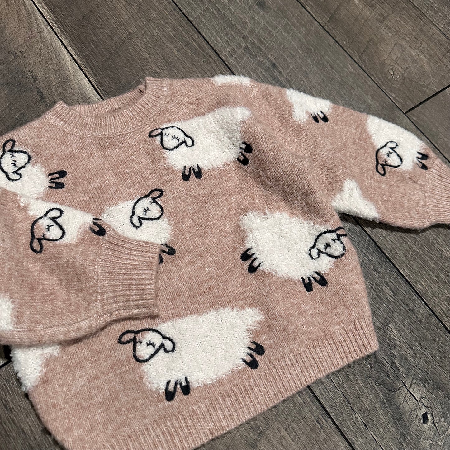 Zara Sheep Sweater