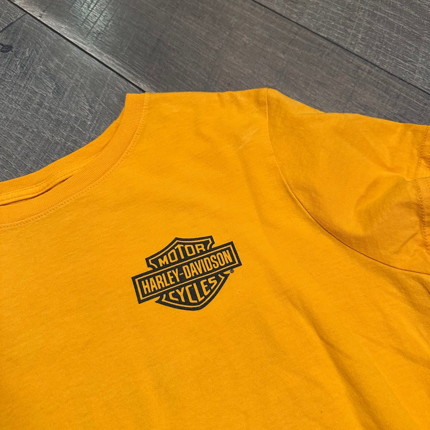 Harley-Davidson T-Shirt