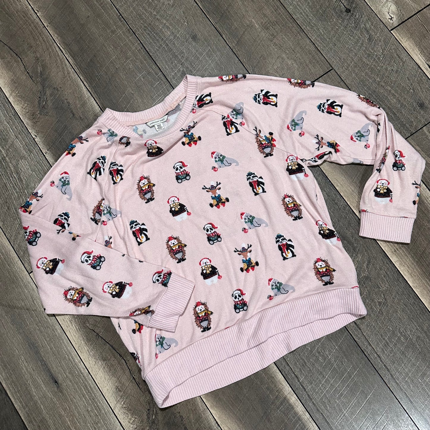 American Eagle Christmas Animal Pajamas