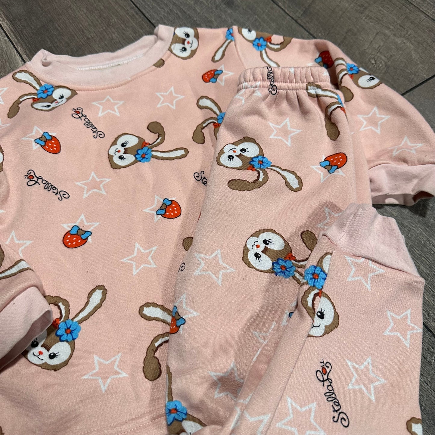 Toddler Lightweight Hoodie Bundle