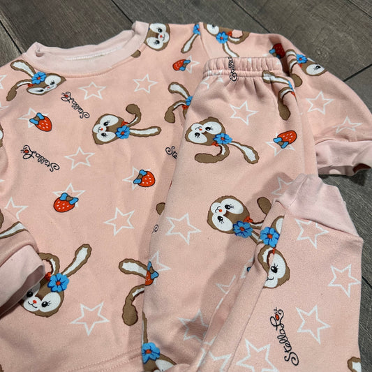 Toddler Lightweight Hoodie Bundle