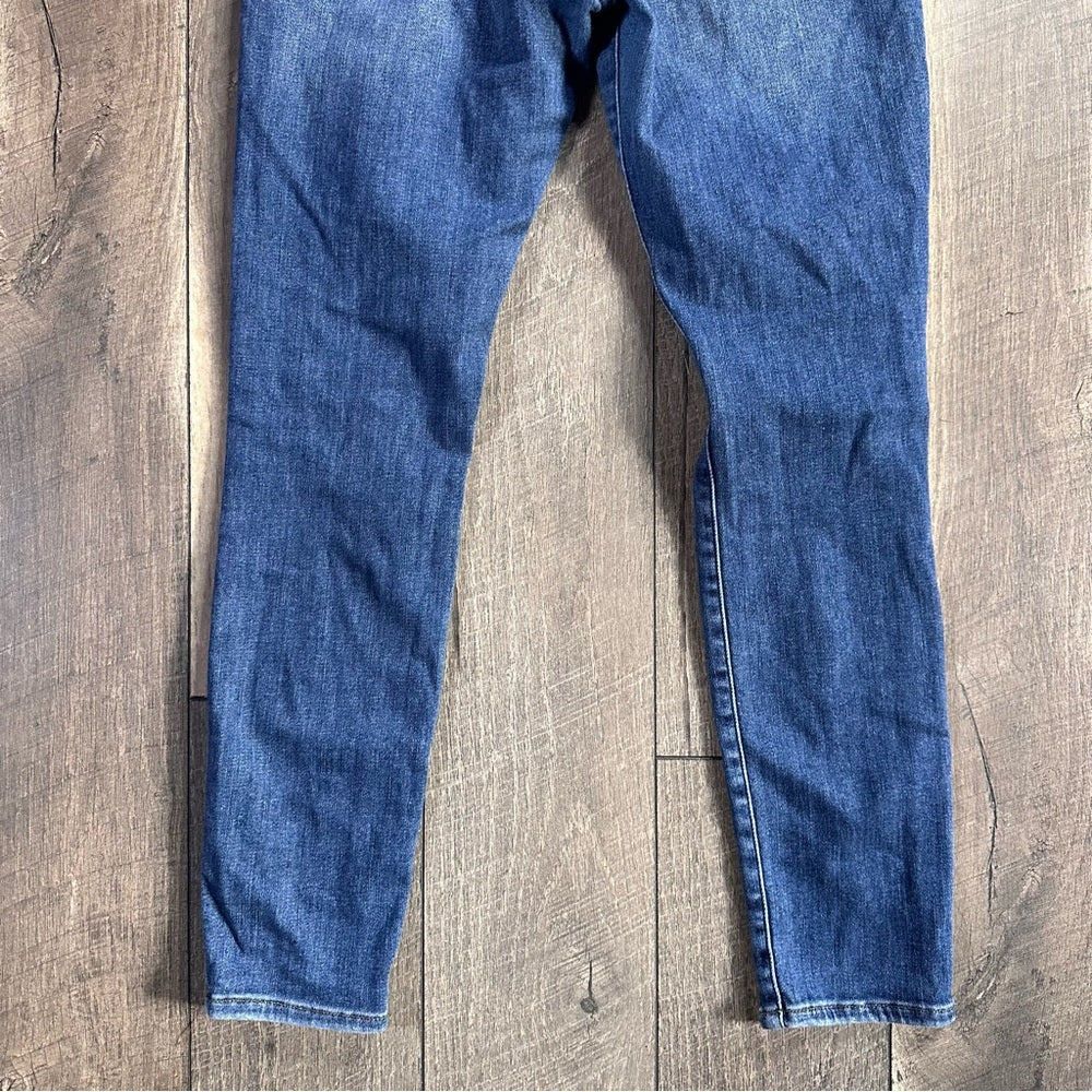 Frame Le Hi Rise Skinny Jeans