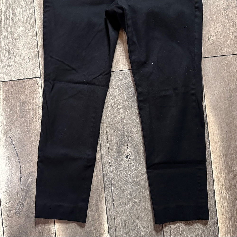 Banana Republic Sloan Pants