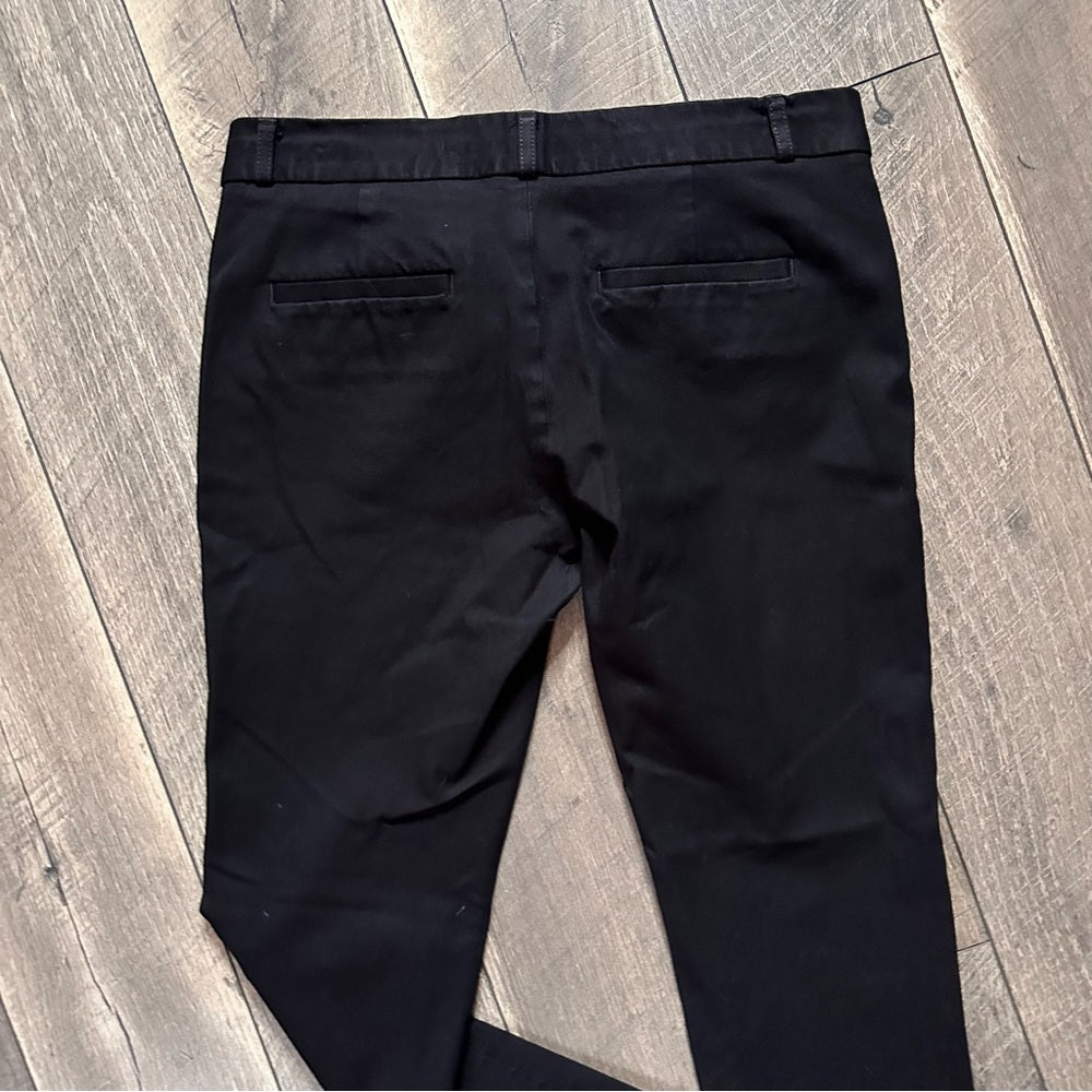 Banana Republic Sloan Pants