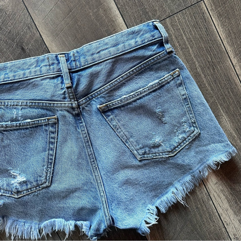 Agolde Parker Vintage Cut Off Denim Shorts