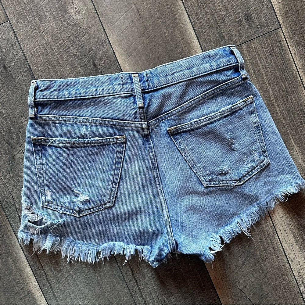 Agolde Parker Vintage Cut Off Denim Shorts