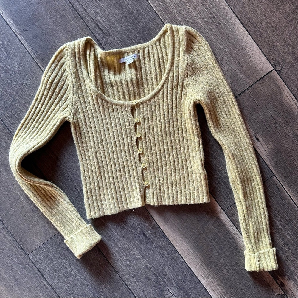 American Eagle Button Down Sweater