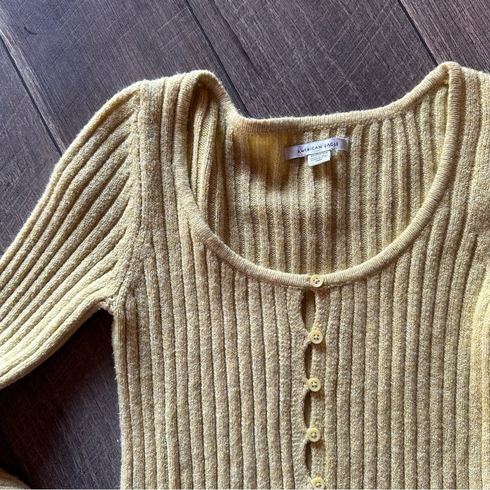 American Eagle Button Down Sweater