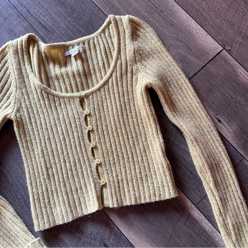 American Eagle Button Down Sweater