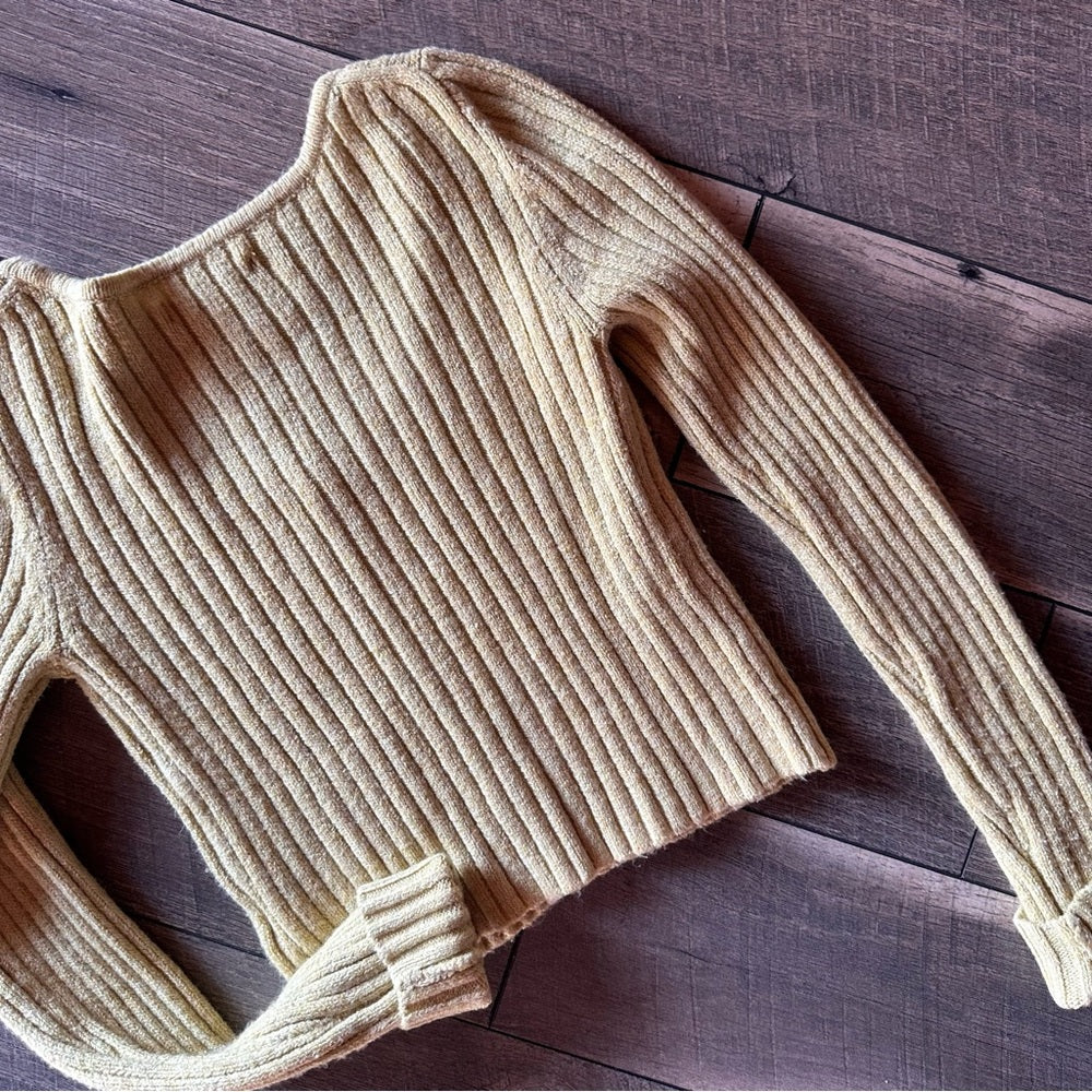 American Eagle Button Down Sweater