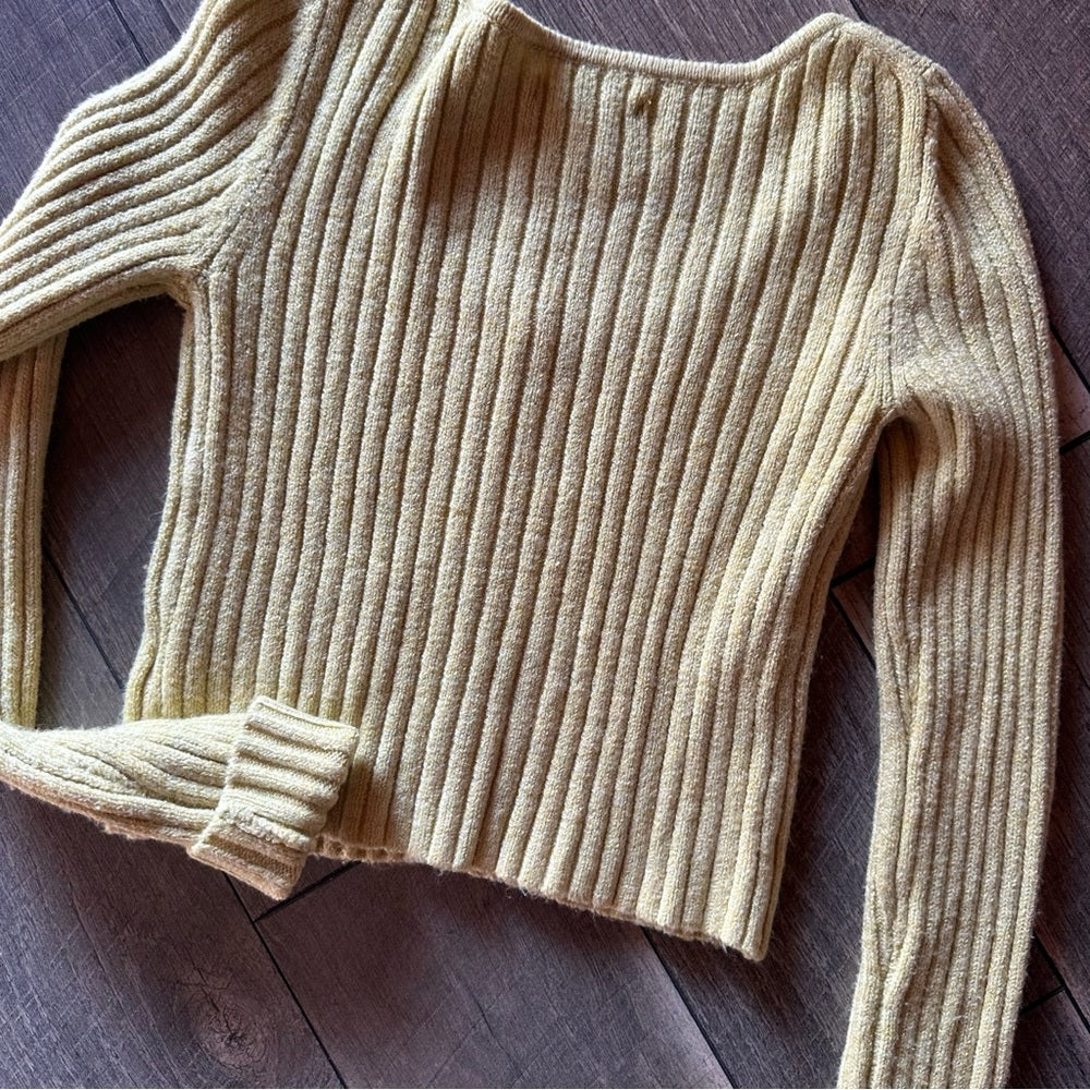 American Eagle Button Down Sweater