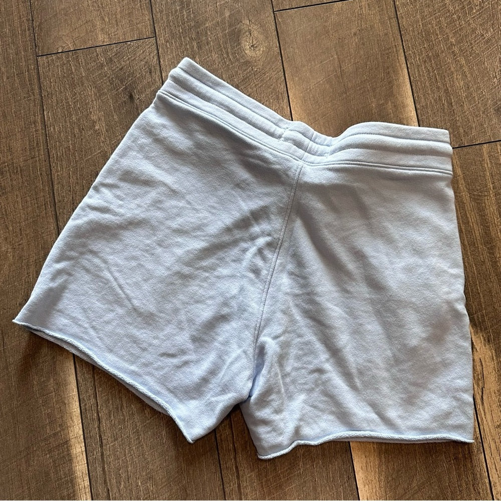 Hollister Baby Blue Shorts