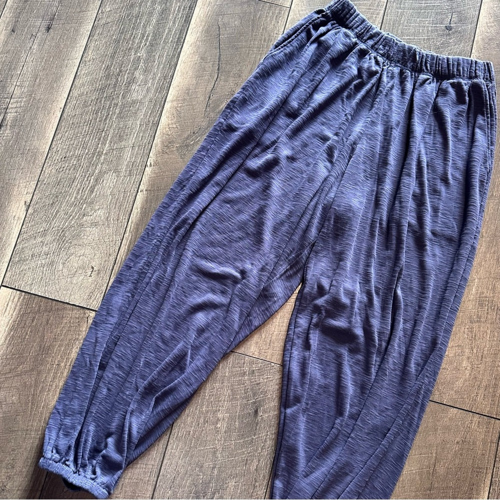 Aerie Joggers