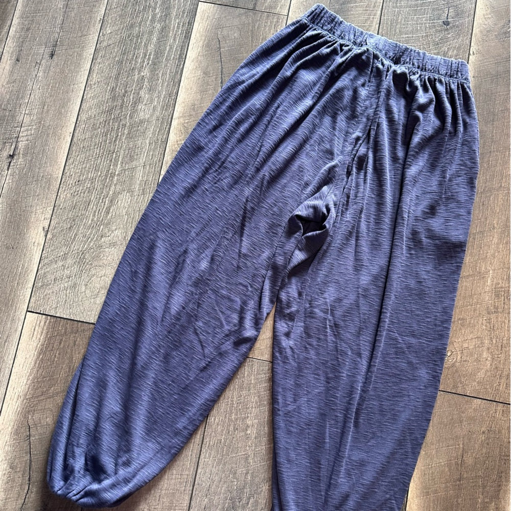 Aerie Joggers