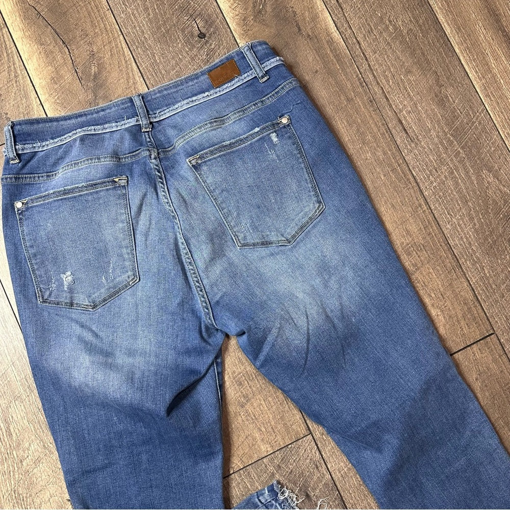 Judy Blue Skinny Fit Jeans