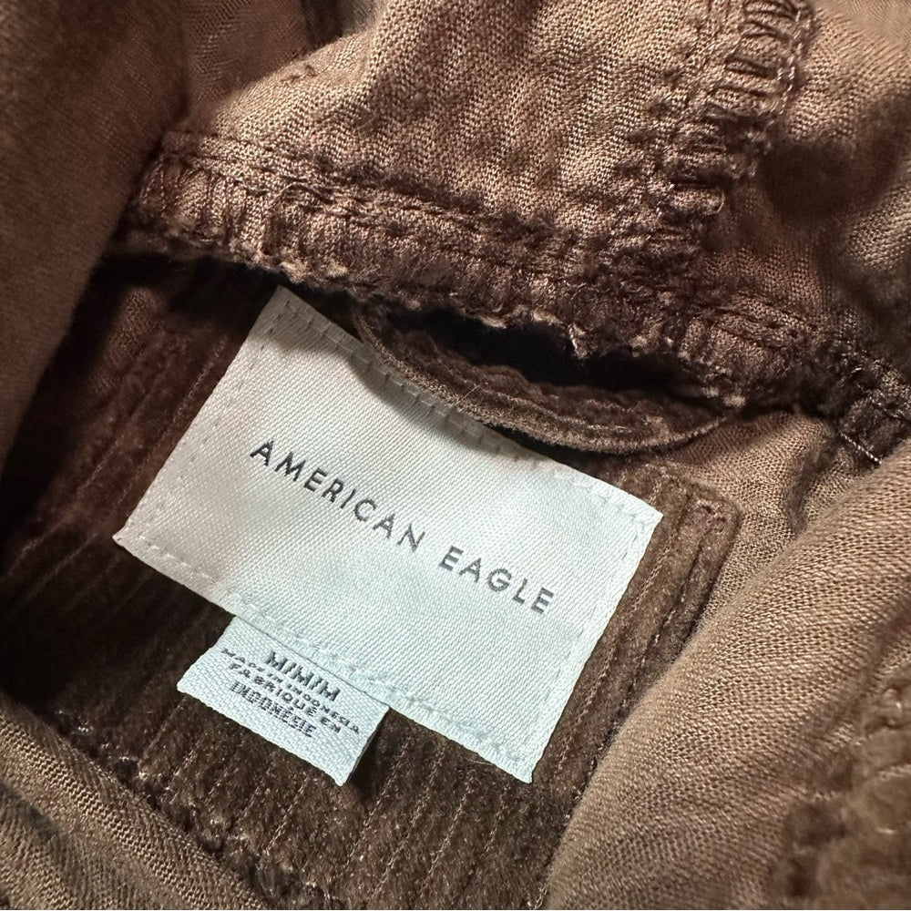 American Eagle Hooded Pullover