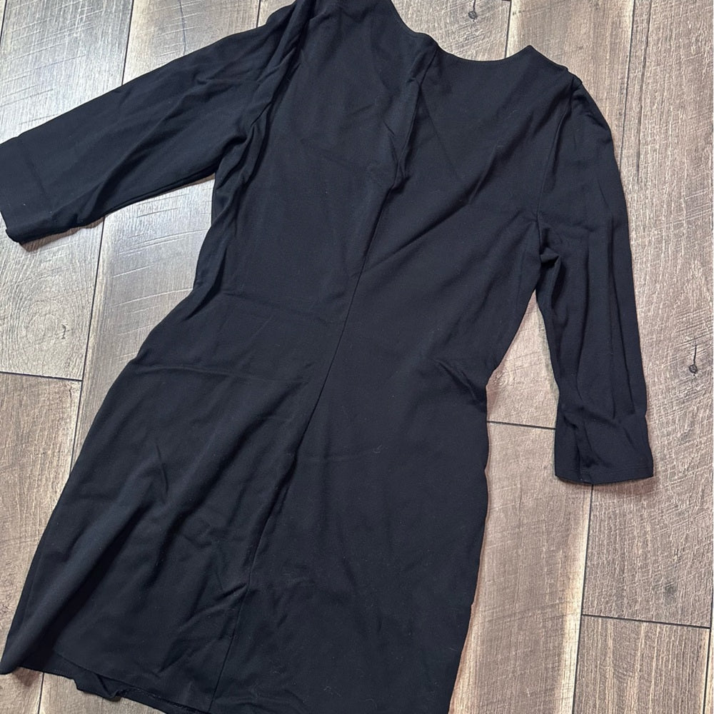 Express 3/4 Sleeve Sheath Dress