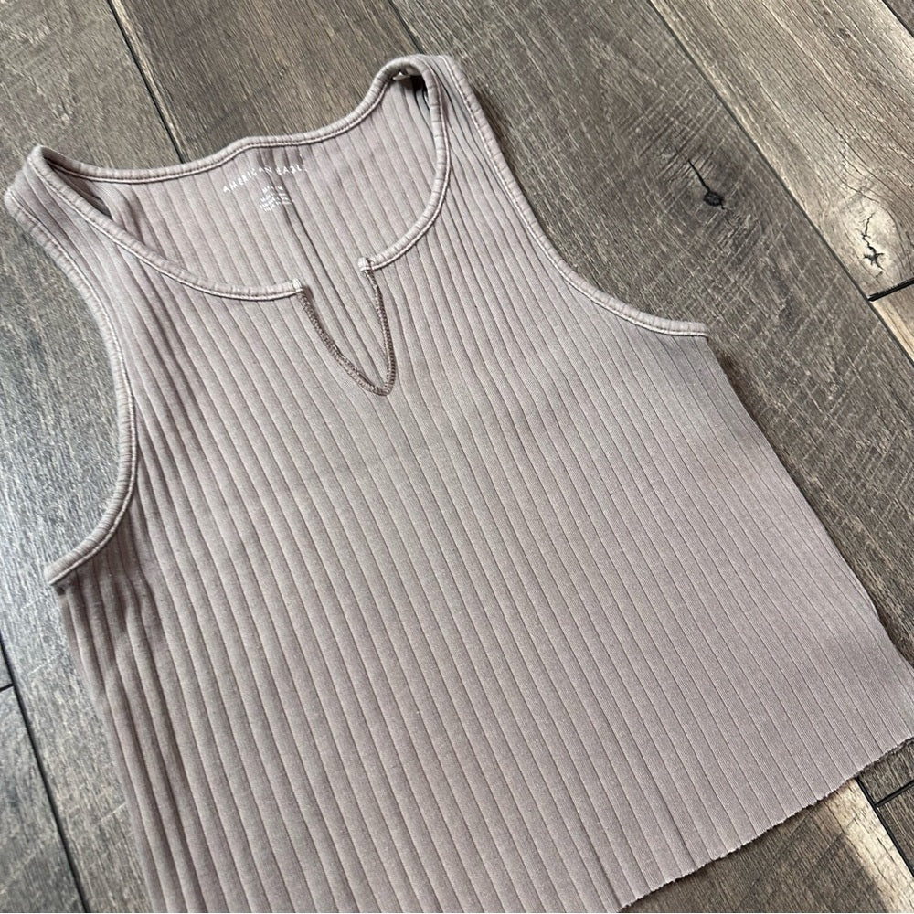 American Eagle Stretchy Crop Tank