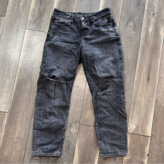 Express Boyfriend Low Rise Jeans