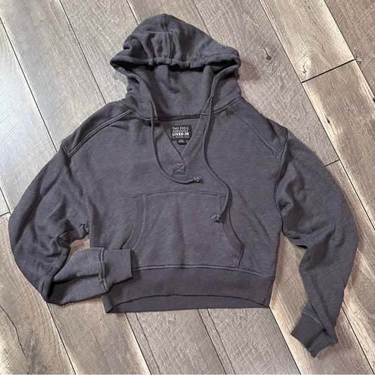American Eagle Crop Hoodie