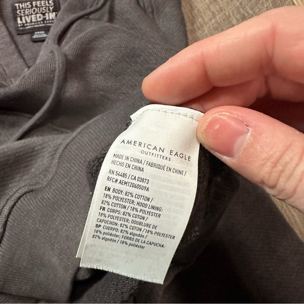 American Eagle Crop Hoodie