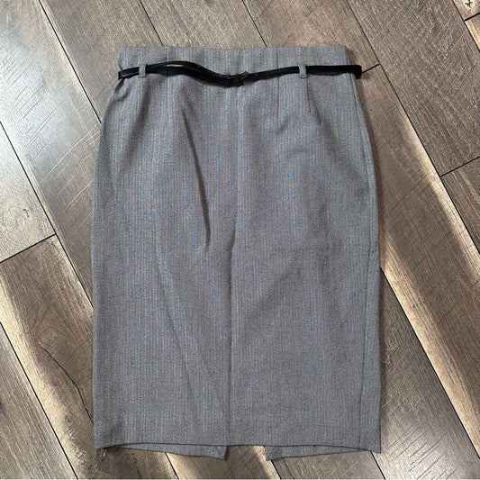 Express Pencil Skirt