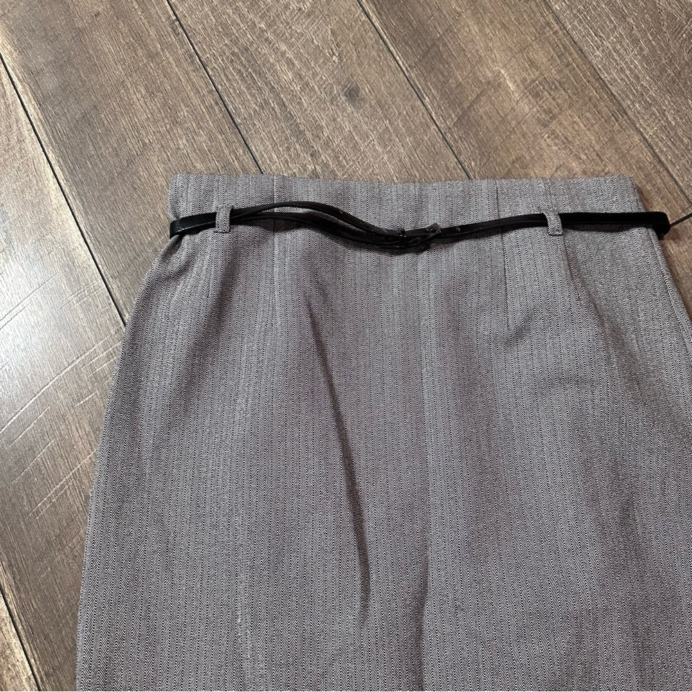 Express Pencil Skirt