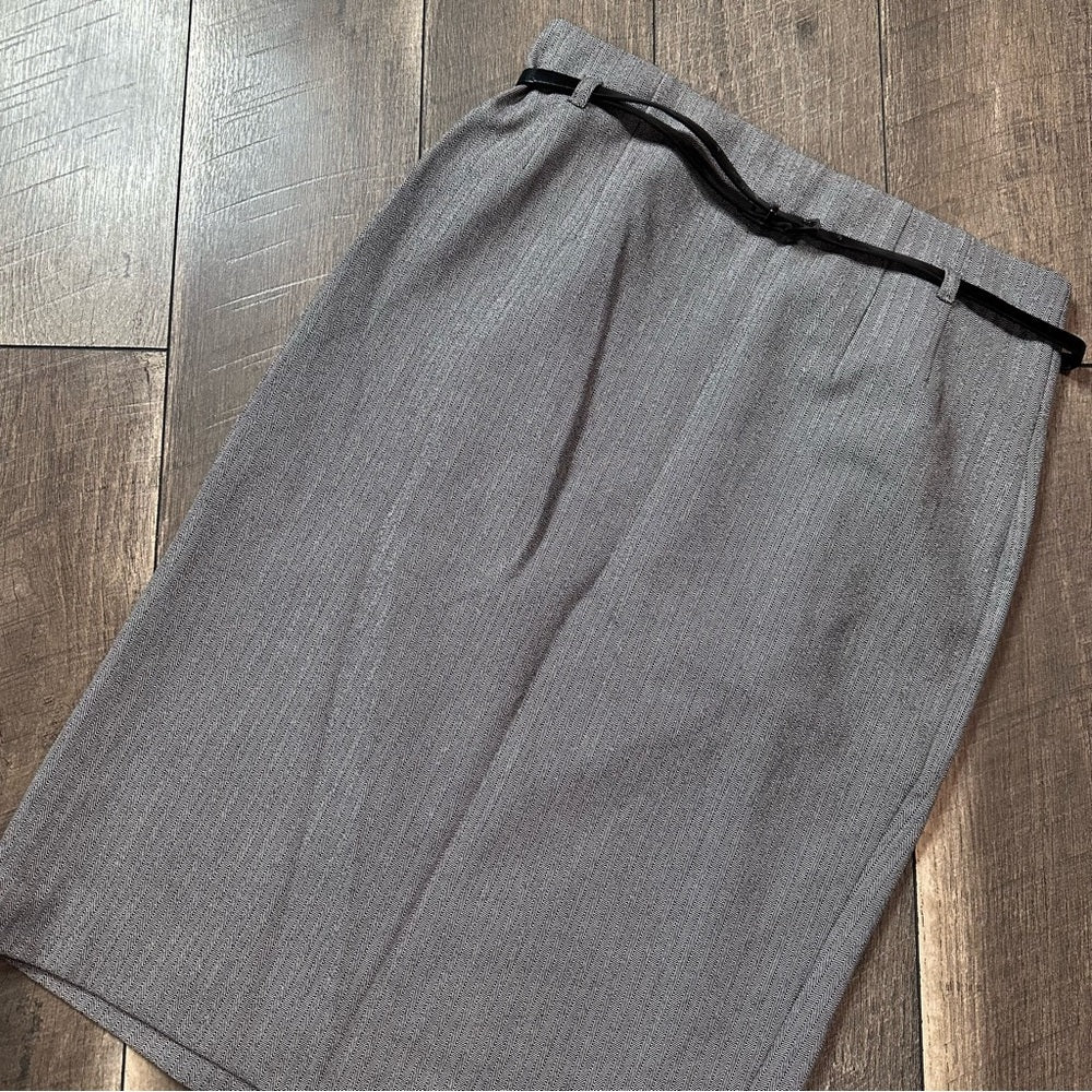 Express Pencil Skirt