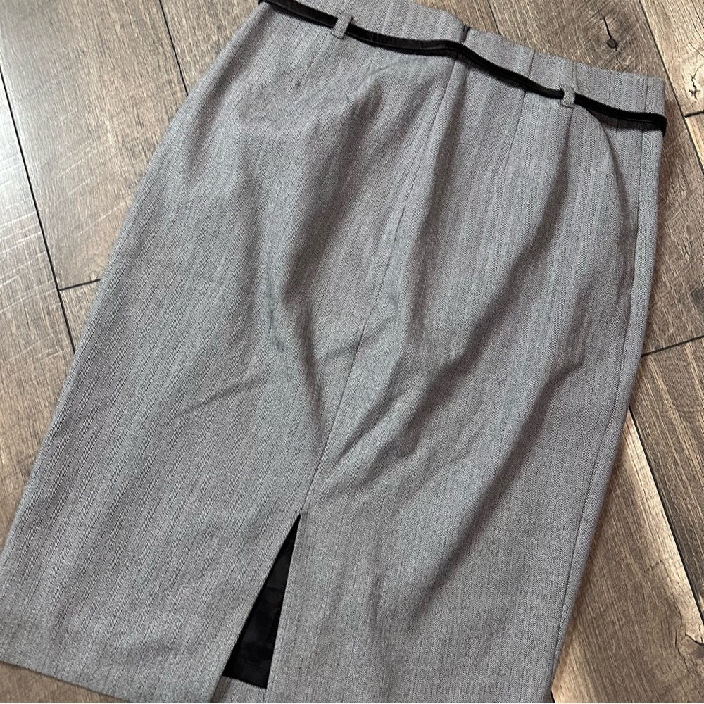 Express Pencil Skirt