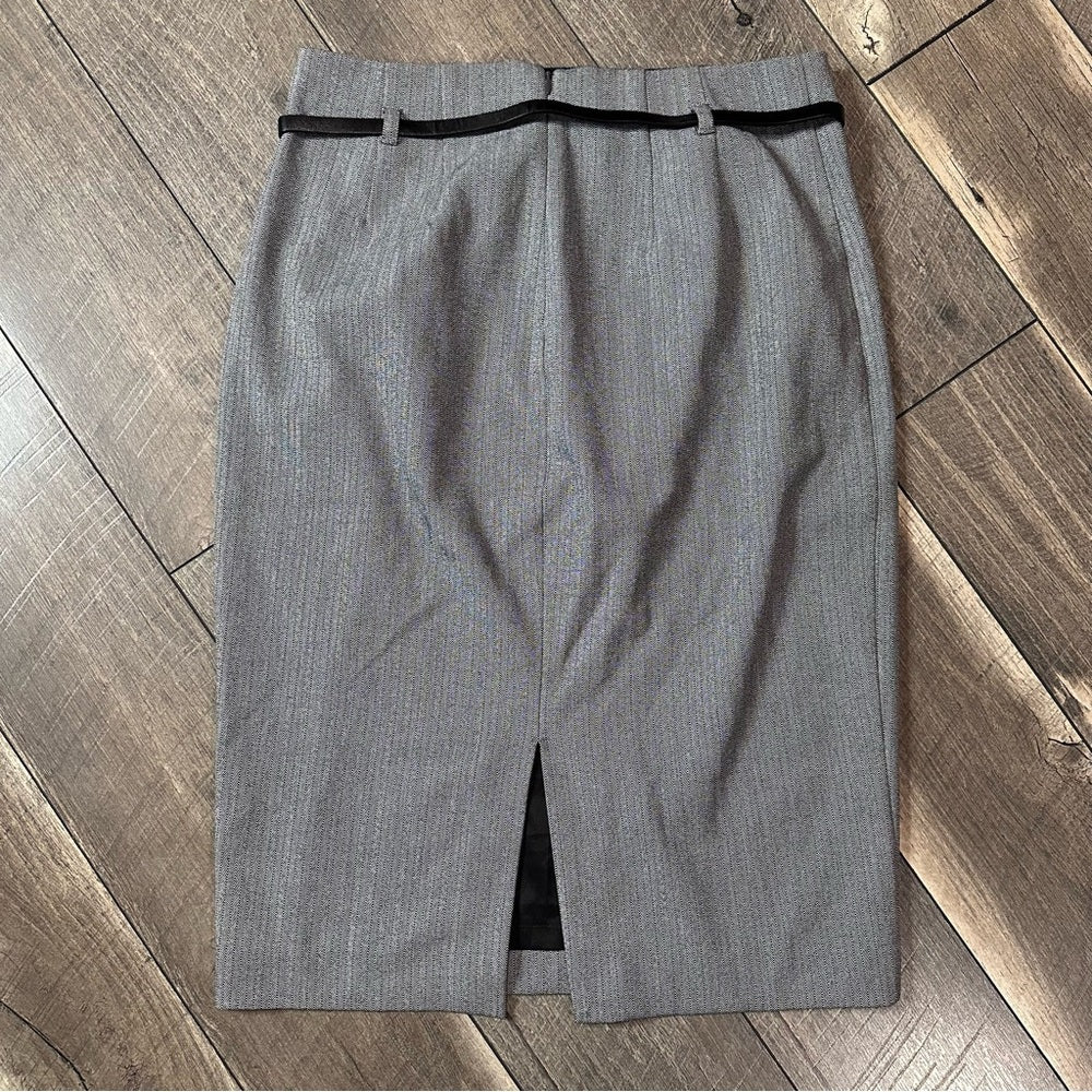 Express Pencil Skirt