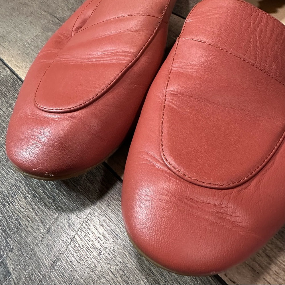 Everlane Italian Leather The Day Loafers