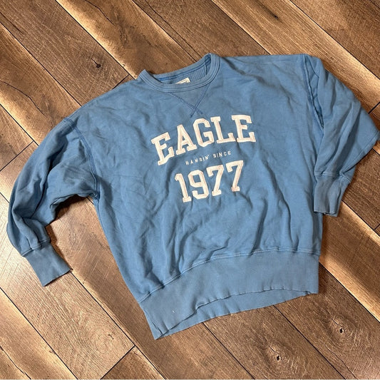 American Eagle Oversized Crewneck