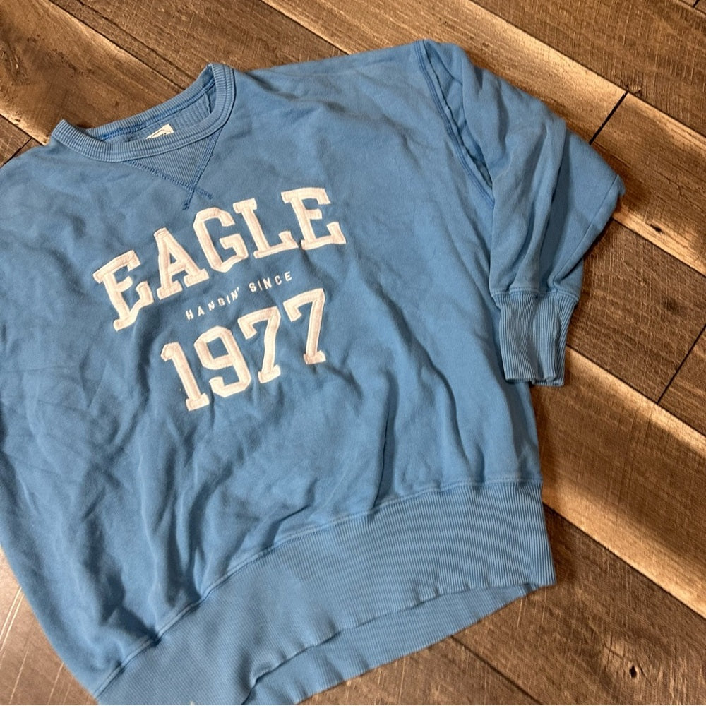 American Eagle Oversized Crewneck