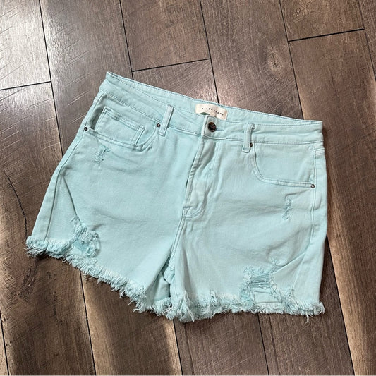 Risen Baby Blue Raw Hem Hi Rise Shorts
