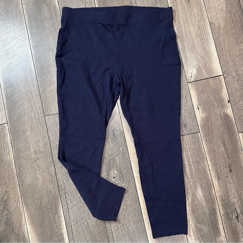 Ana Blue Skinny Pants