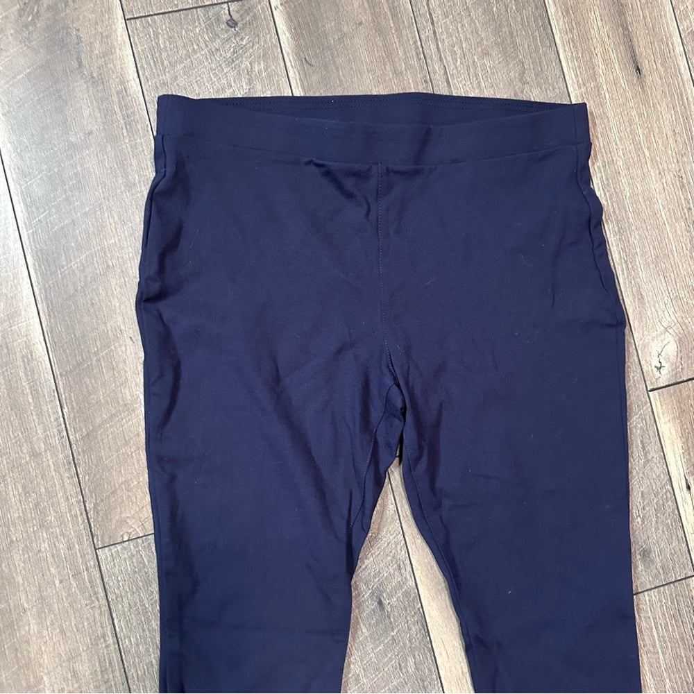 Ana Blue Skinny Pants