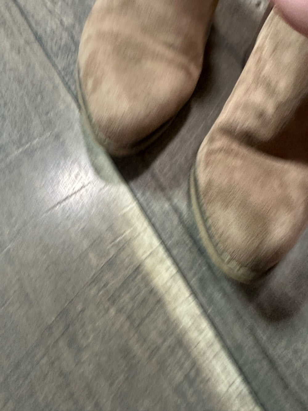 Pierre Dumas Cow Print Ankle Booties