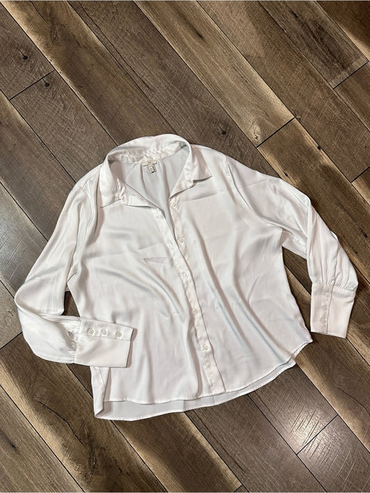 Joie Silky Button Down Blouse