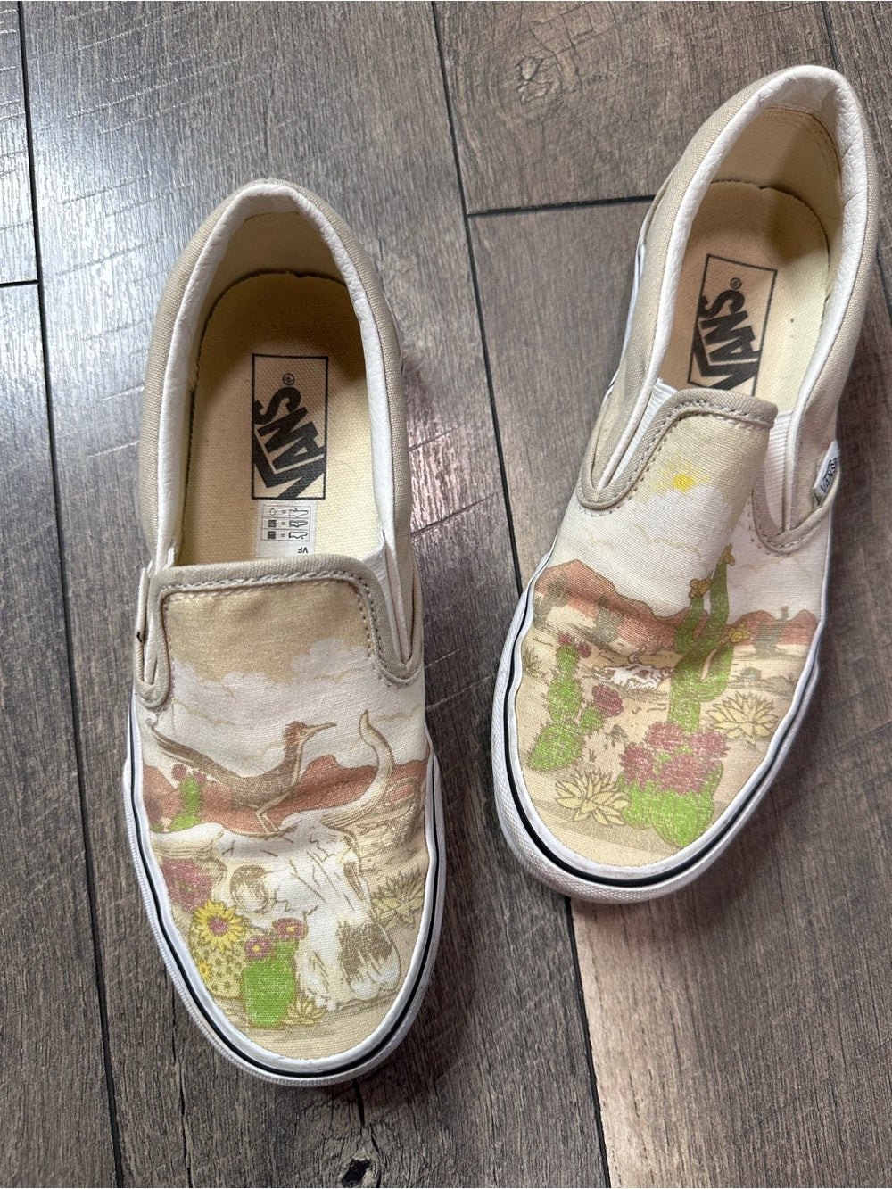 Vans Classic Slip-On Desert Vibes