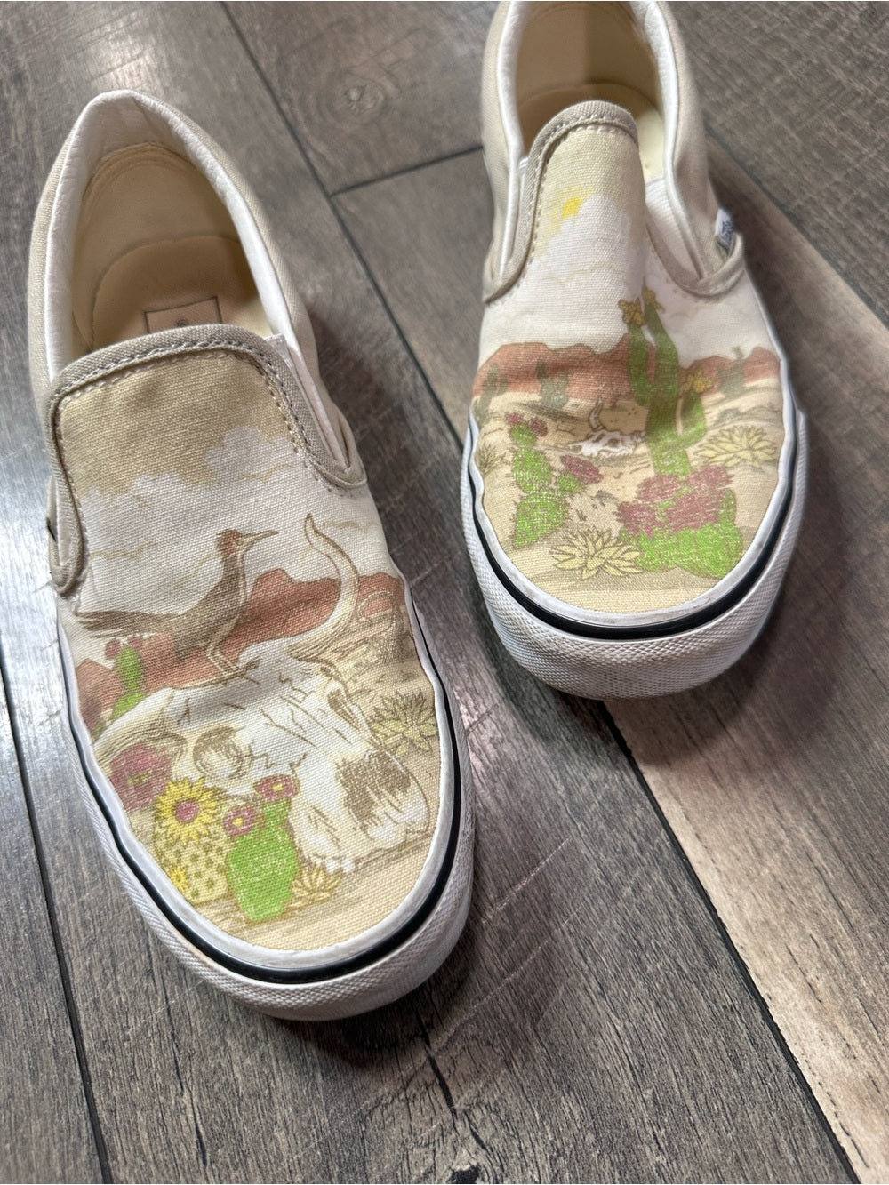 Vans Classic Slip-On Desert Vibes