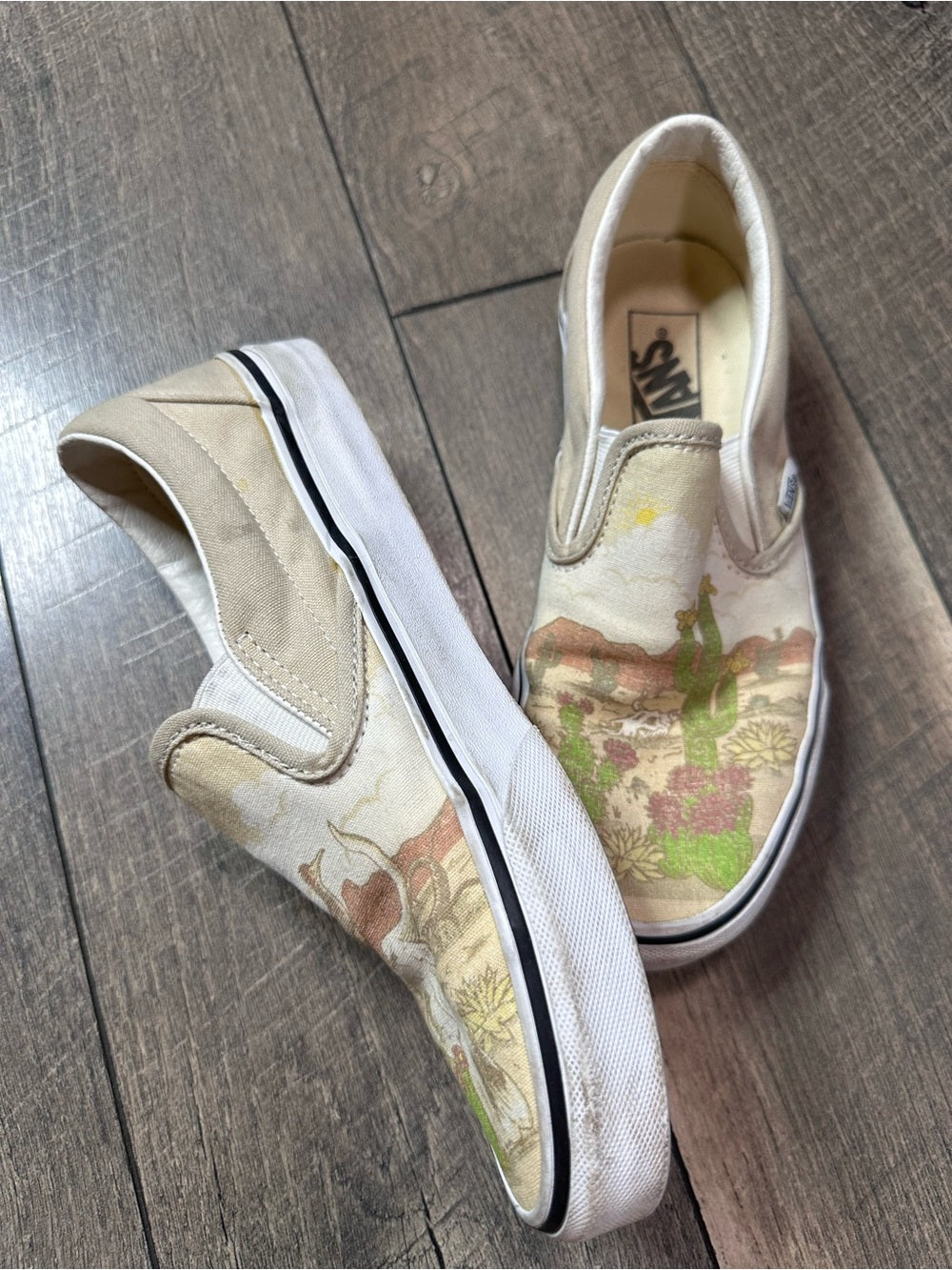Vans Classic Slip-On Desert Vibes