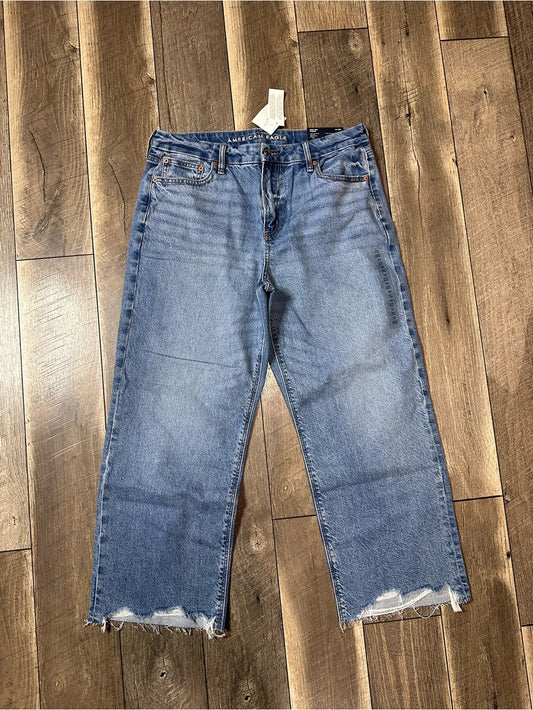 American Eagle Curvy Stovepipe Jeans