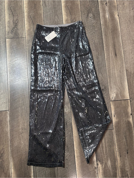 A New Day Sequin Wide Leg Pants (lined)