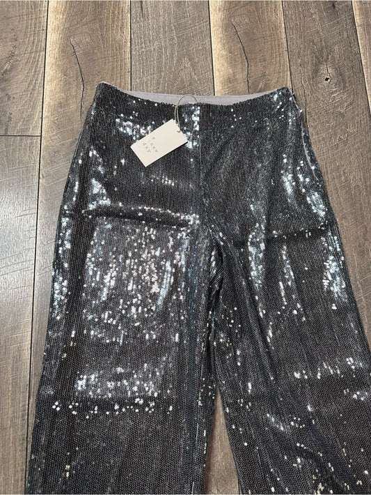 A New Day Sequin Wide Leg Pants (lined)