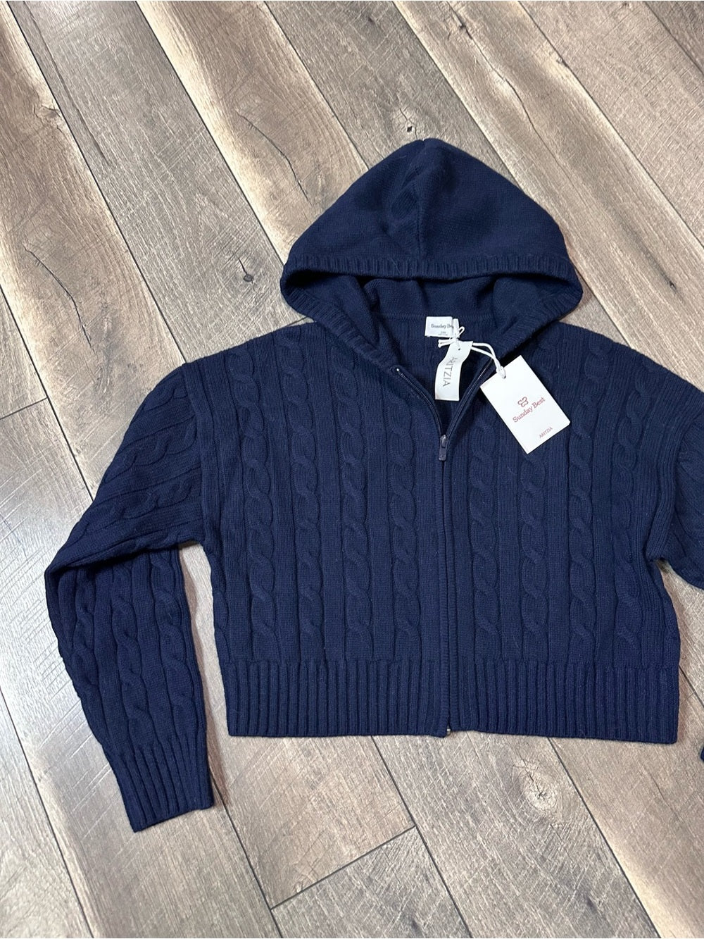 Aritzia Sunday Best Octavia Oversized Zip Hoodie